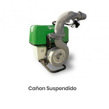 Cañón Suspendido